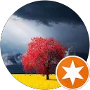 Wilde Hilde profielfoto